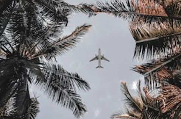 Travel & Tourism Executive